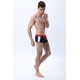 Fox Short Boxer Ropa Interior