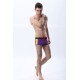 Fox Short Boxer Ropa Interior